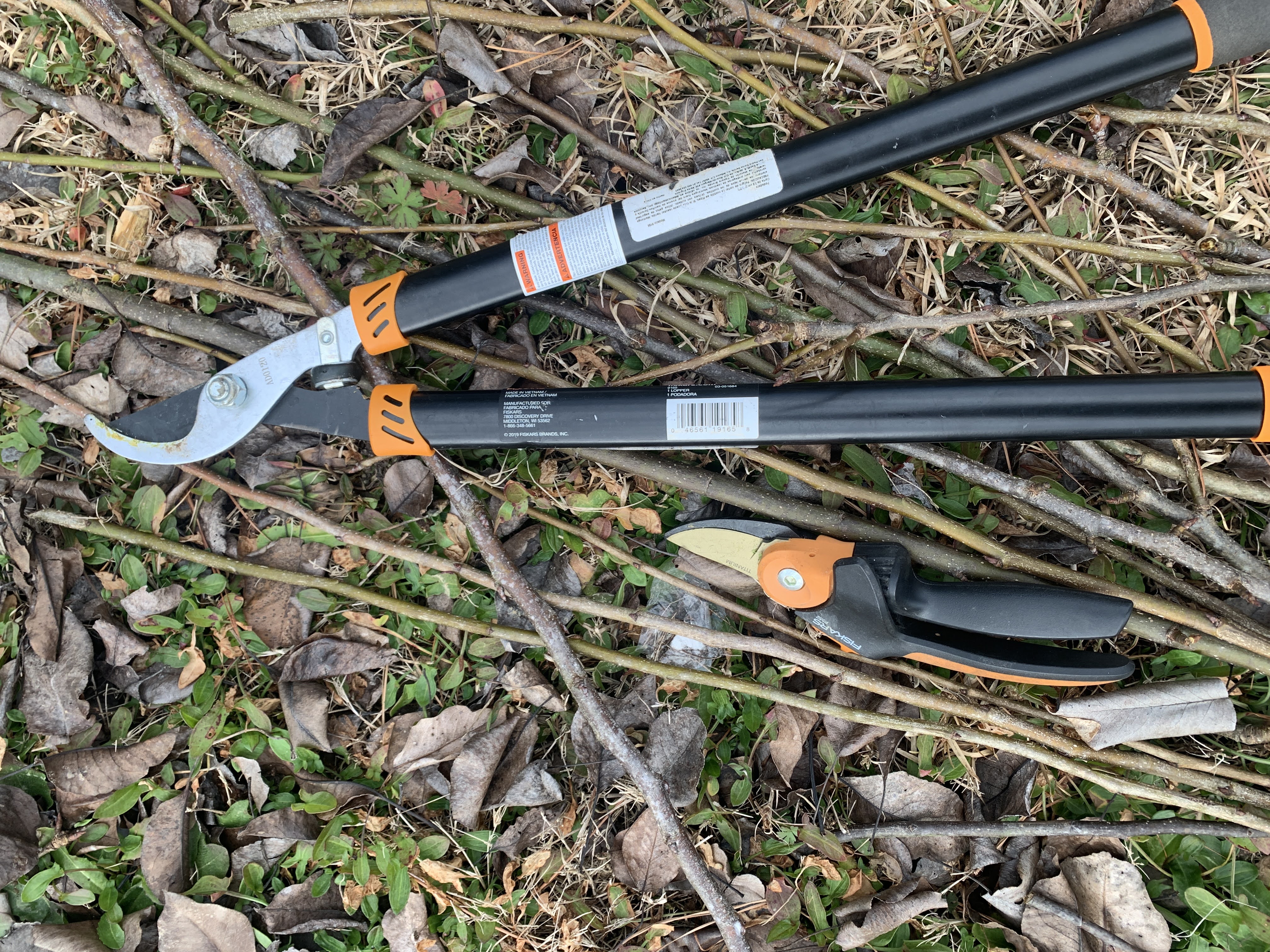 Pruning