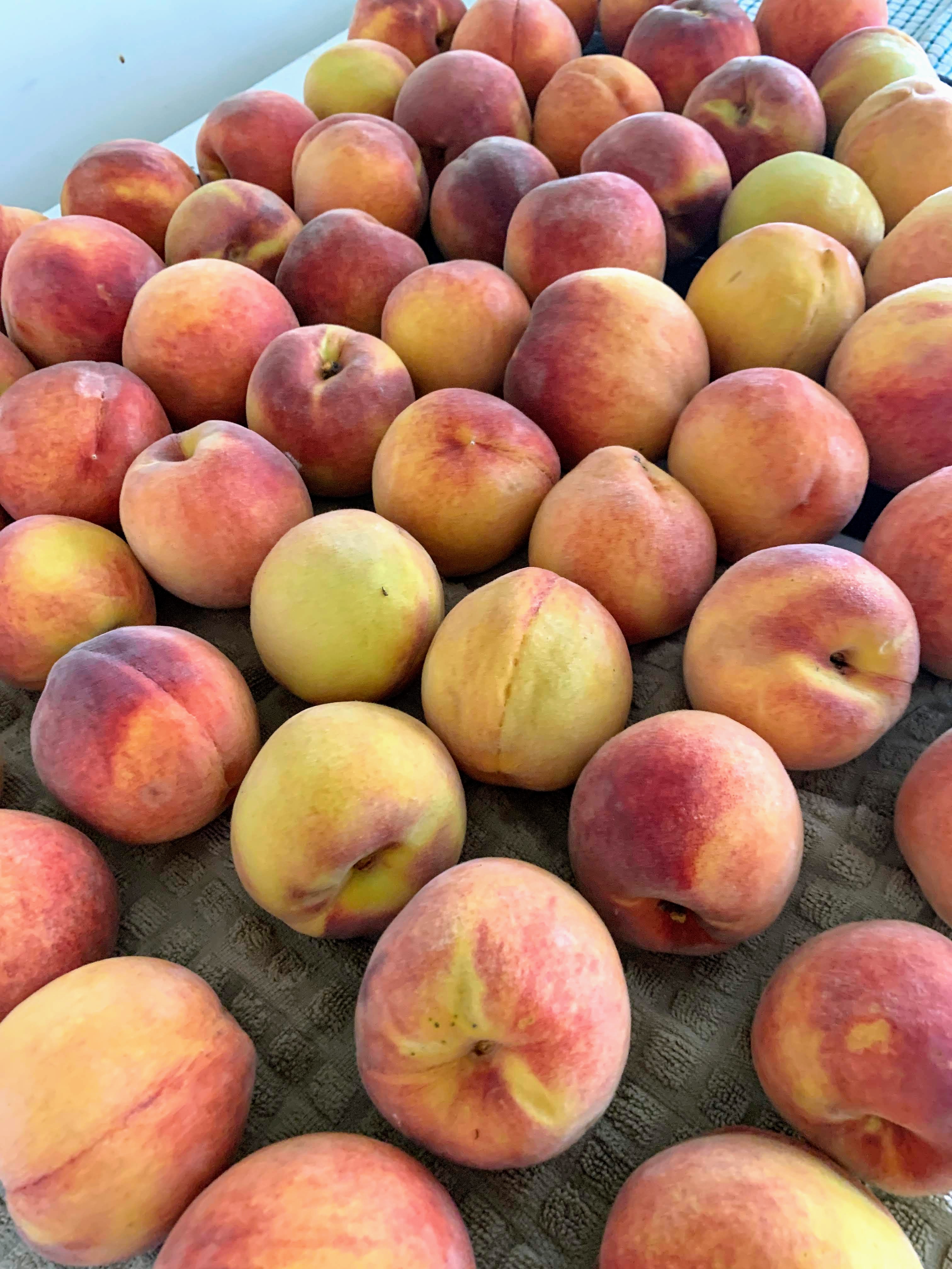 Peaches (and another birthday)